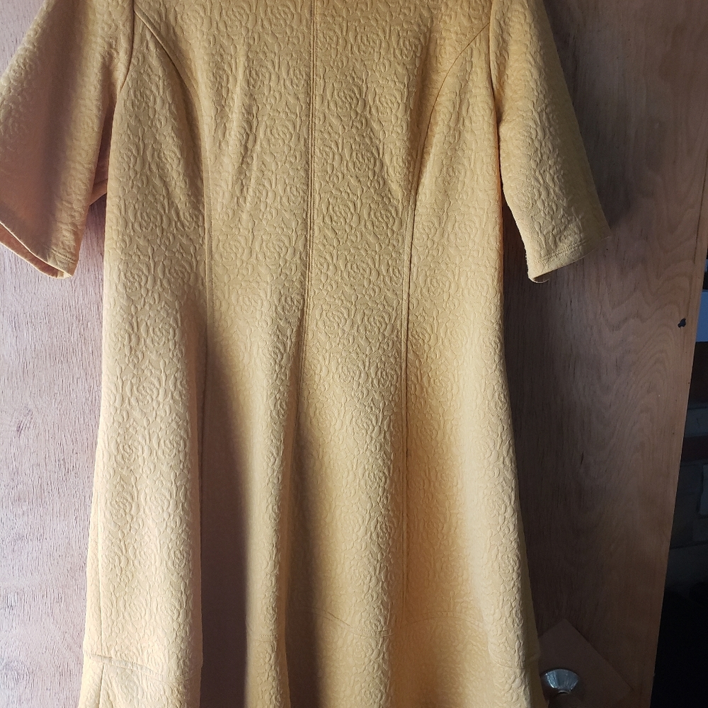 Mustard Fit and Flare